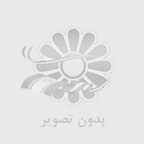 راهبند بلوكي پلاستيكي